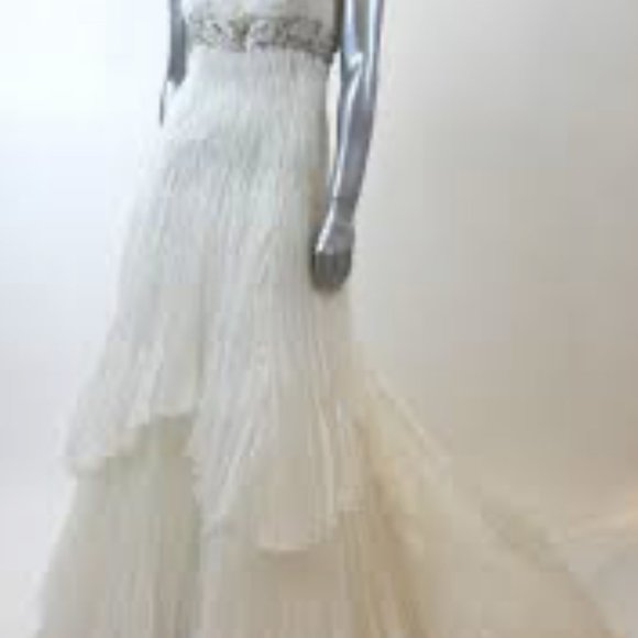 Pronovias Manuel Moto Wedding Dress - Picture 6 of 7